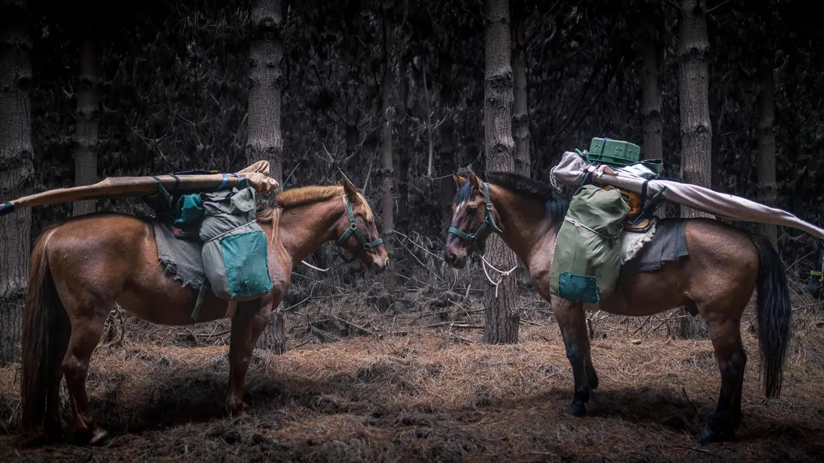 Alta Screening: The Road to Patagonia