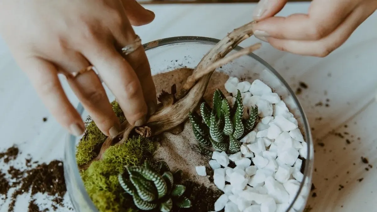 Succulent Terrarium Workshop