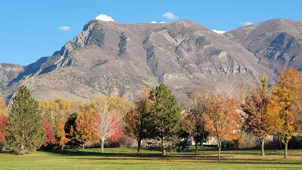 Town Center Meadows Park
