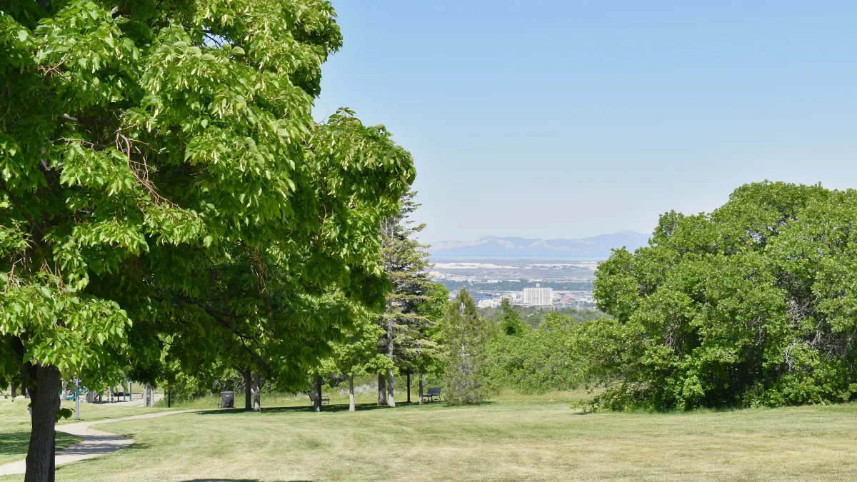 Donner Trail Park
