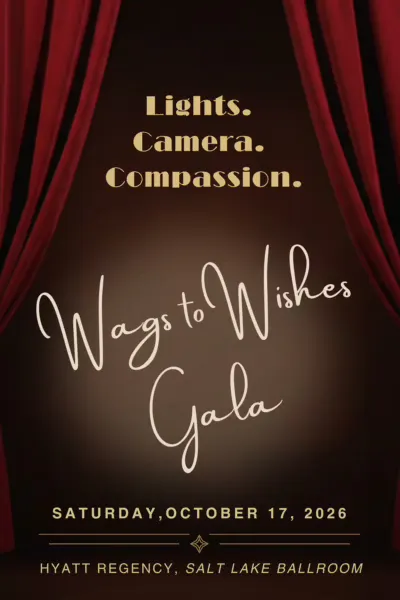 Wags to Wishes Gala 2026