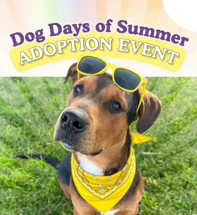 Dog Days of Summer Adoption Event