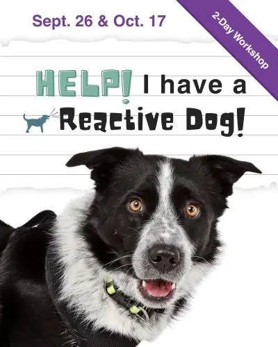 “Help! I have a Reactive Dog” 2-day Workshop