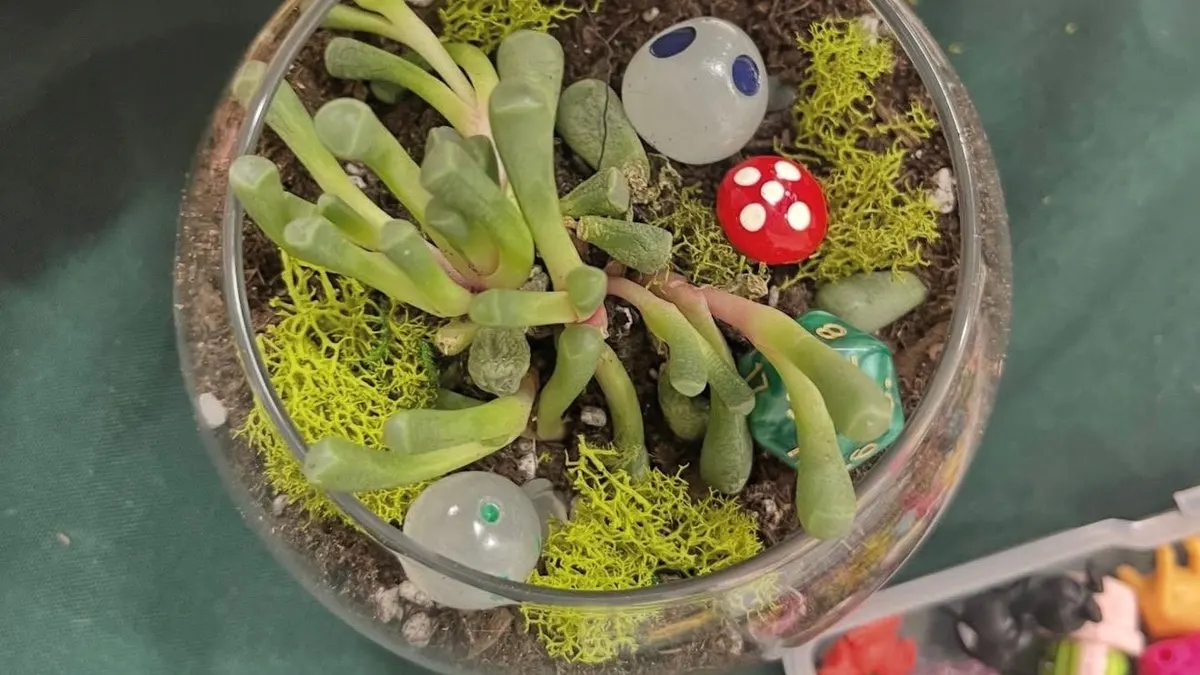 Moss & Mocha