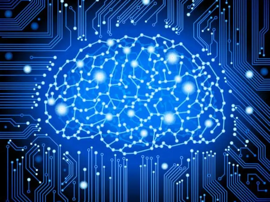 Invaders and Robbers: How Our Brains Go Wrong