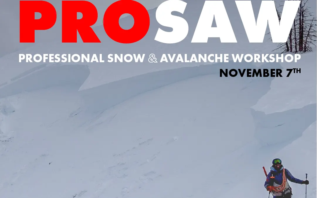 Professional Snow and Avalanche Workshop