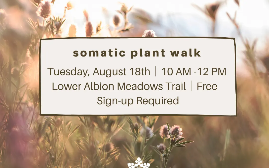 somatic plant walk — ACE