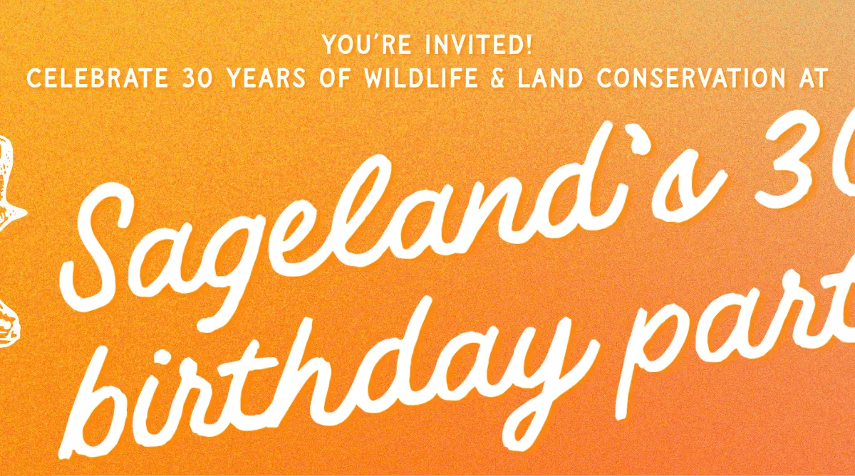 Sageland’s 30th Birthday Party
