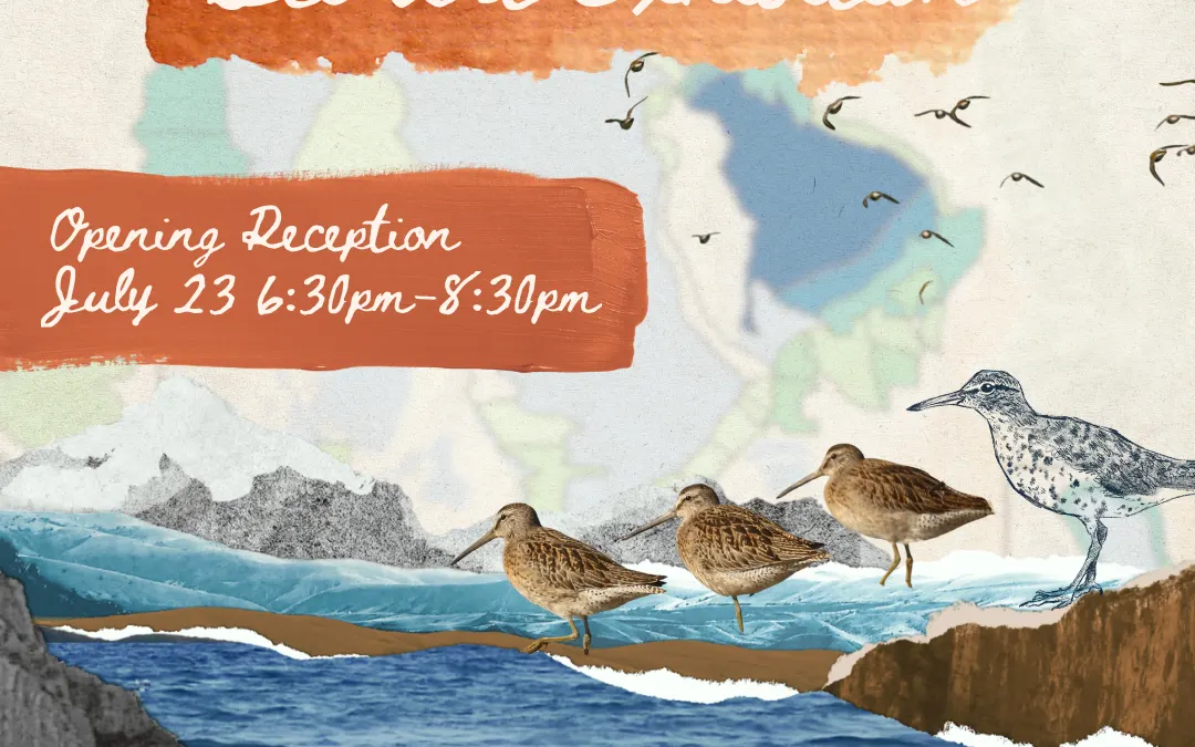 Sci-Art Gallery Reception — Sageland Collaborative
