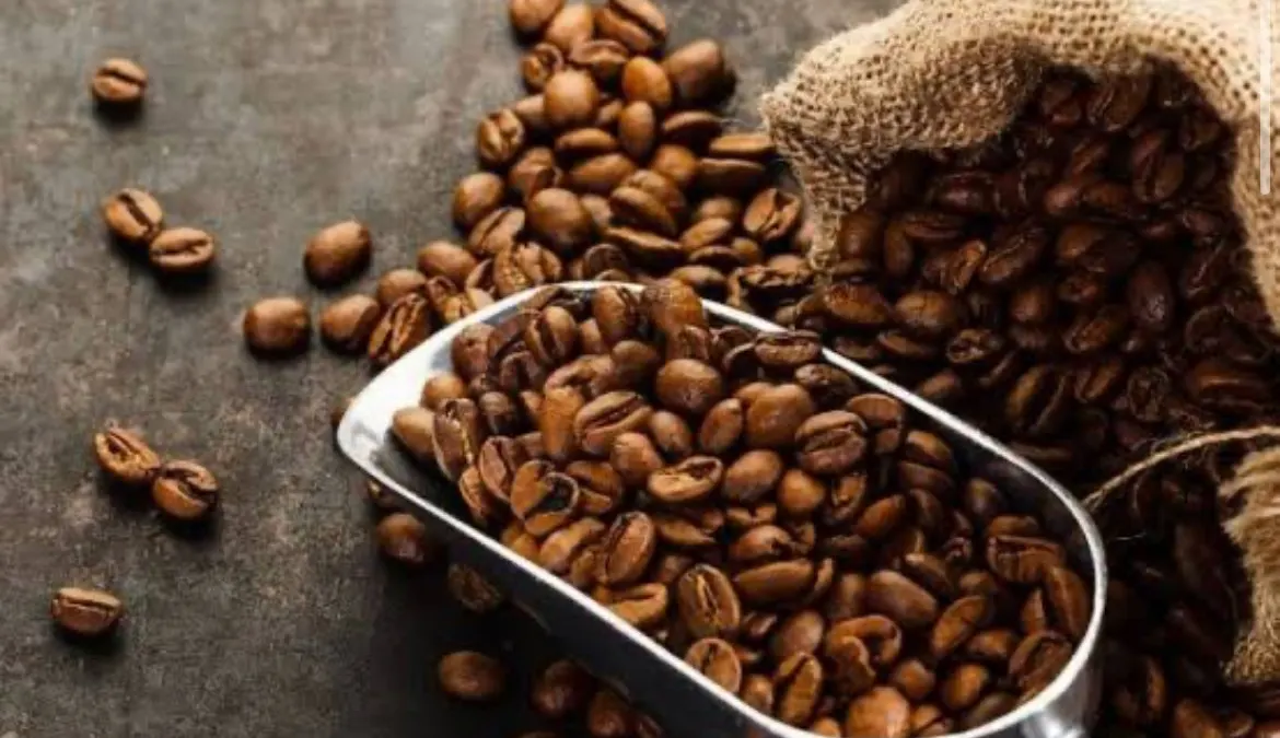 Coffee Around the World — Loki Coffee | Salt Lake, Utah