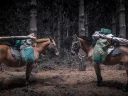 Alta Screening: The Road to Patagonia