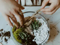 Succulent Terrarium Workshop