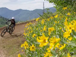 Women's Mountain Bike Ride Night