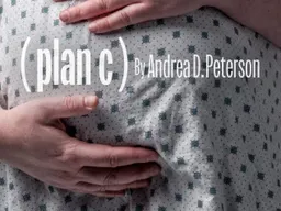Plan (C)
