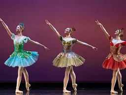 Trainees in Performance