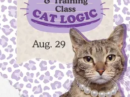 Cat Logic Class