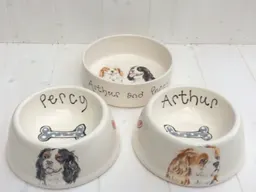 Sip & Paint: Pet Bowls