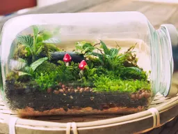 Build Your Own Terrarium