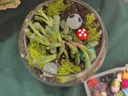 Moss & Mocha