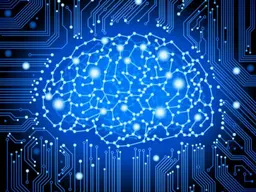 Invaders and Robbers: How Our Brains Go Wrong