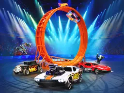 Hot Wheels Stunt Show