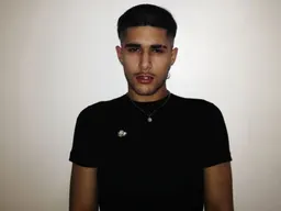 fakemink
