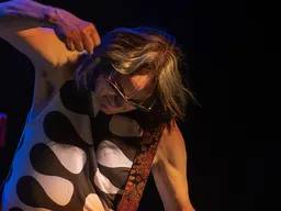 Todd Rundgren: Damned If I Do Tour