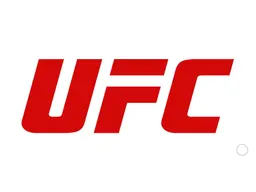 UFC 332