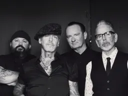 Social Distortion