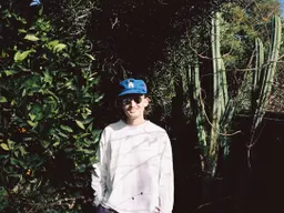 Gnash