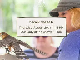 hawkwatch bird of prey show — ACE