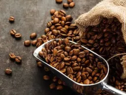 Coffee Around the World — Loki Coffee | Salt Lake, Utah