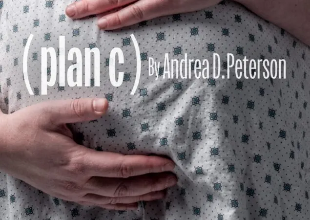 Plan (C)