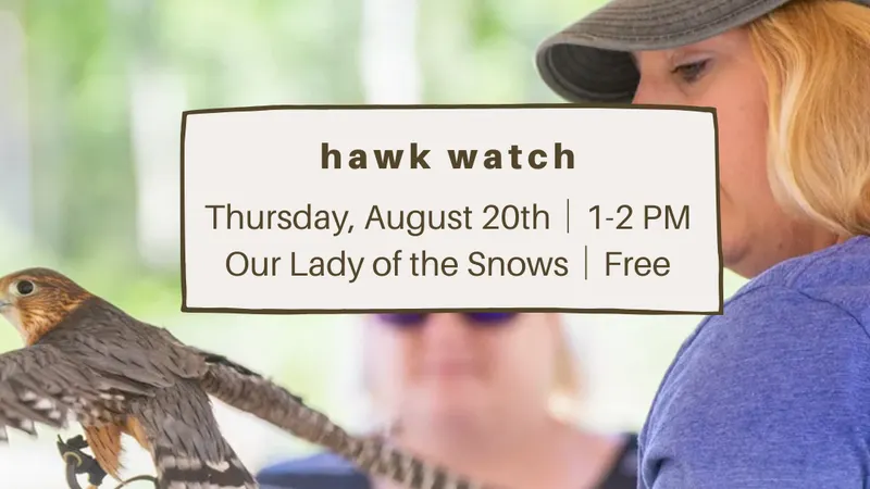hawkwatch bird of prey show — ACE