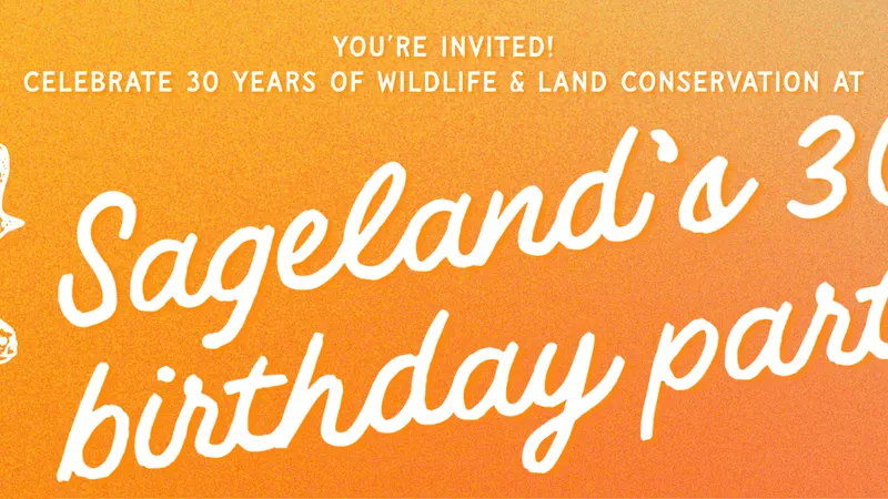 Sageland’s 30th Birthday Party