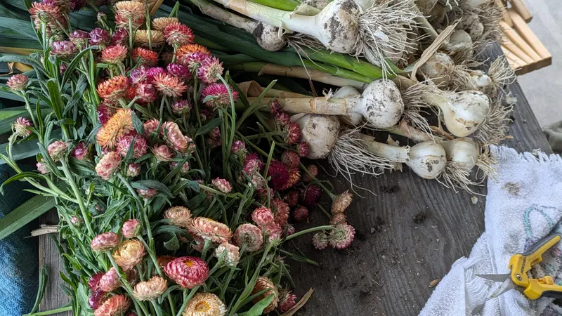 Garlic Braiding Workshop