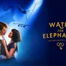 Water for Elephants (Touring)